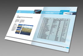 上海瑭晟環(huán)保技術產品畫冊與浙江中建網絡科技股份 專業(yè)網站建設服務指南