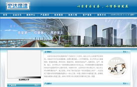 北京網站建設與數據處理服務——龍鼎網絡專業(yè)解決方案