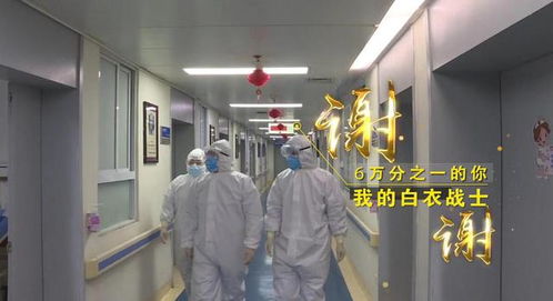 “守護天使”公益律師武漢上崗，為醫護筑起法律后盾
